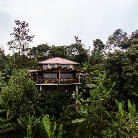 Casa De Vista Alta Hotel Mindo Luaran gambar