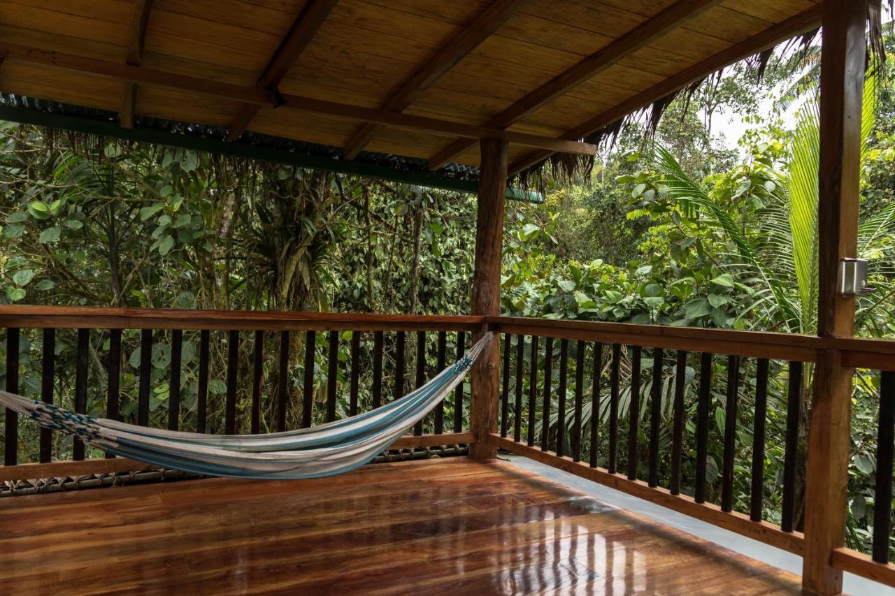 Casa De Vista Alta Hotel Mindo Luaran gambar