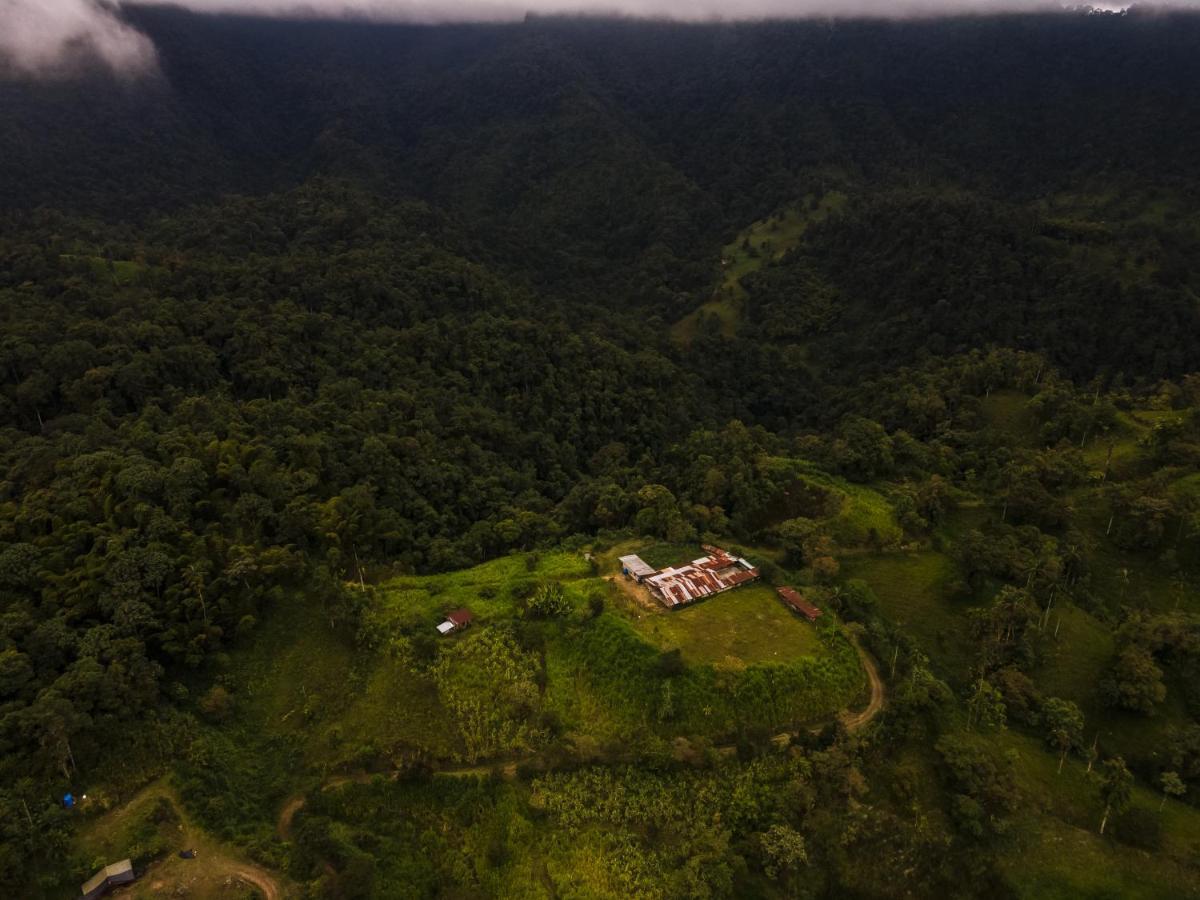 Casa De Vista Alta Hotel Mindo Luaran gambar